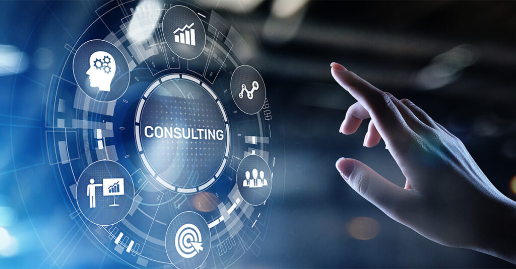 Software Audit